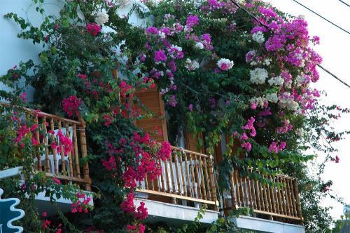 Arian Hotel Paro Esterno foto